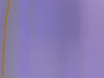 arohomlester_