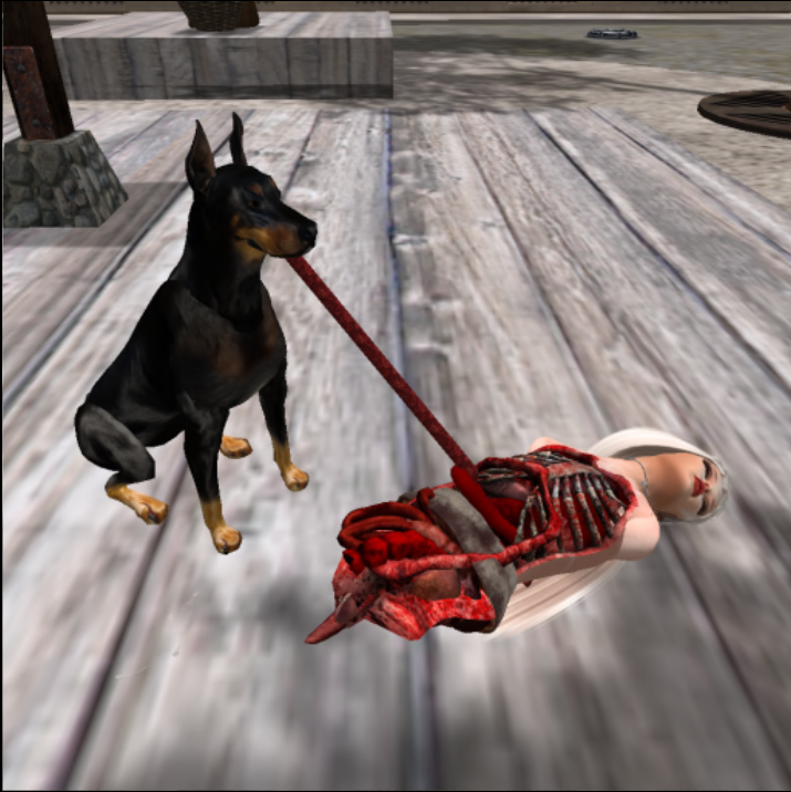 Second Life Game 2 — 22