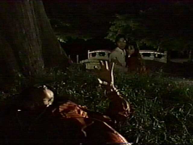 japanese crime shows — 21