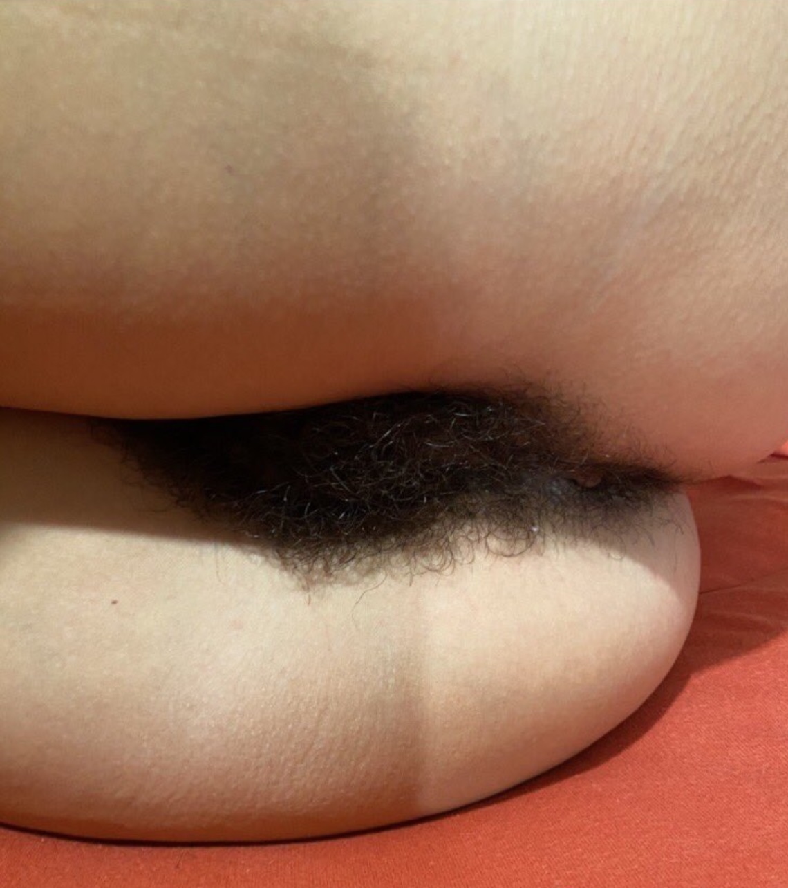 My Favorite Hairy Pussies #34 — 44