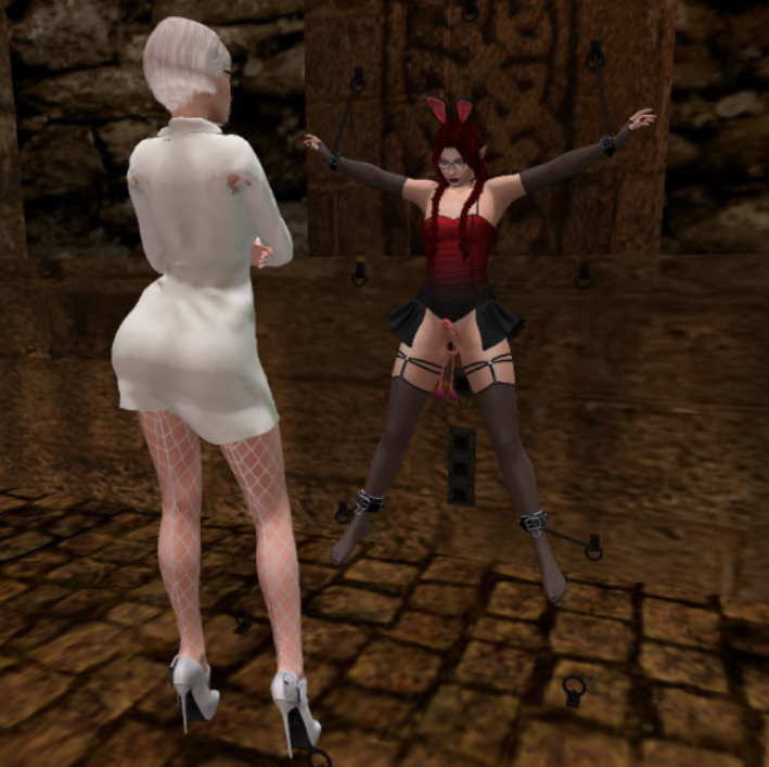 Second Life Game 2 — 17